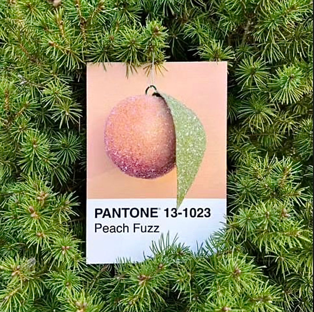 Pantone's Color of the Year 2024: Exploring "Peach Fuzz"